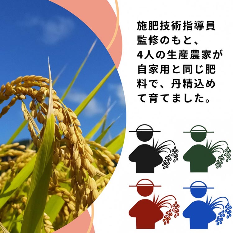 【定期便】米 4品種 コシヒカリ・キヌヒカリ・ヒノヒカリ・きぬむすめ 食べ比べ 5kg × 4回 計 20kg 施肥技術指導員監修《令和5年産 1回1品種》SDGs未来都市亀岡※着日指定不可
