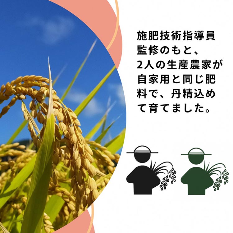 米 2品種 コシヒカリ・キヌヒカリ 食べ比べ 5kg × 2袋 10kg 施肥技術指導員監修《令和5年産》SDGs未来都市亀岡※着日指定不可