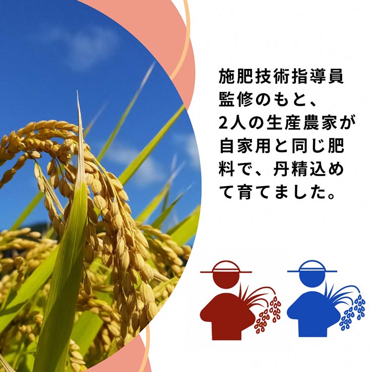 米 2品種 ヒノヒカリ・きぬむすめ 食べ比べ 5kg × 2袋 10kg 施肥技術指導員監修《令和5年産》SDGs未来都市亀岡※着日指定不可