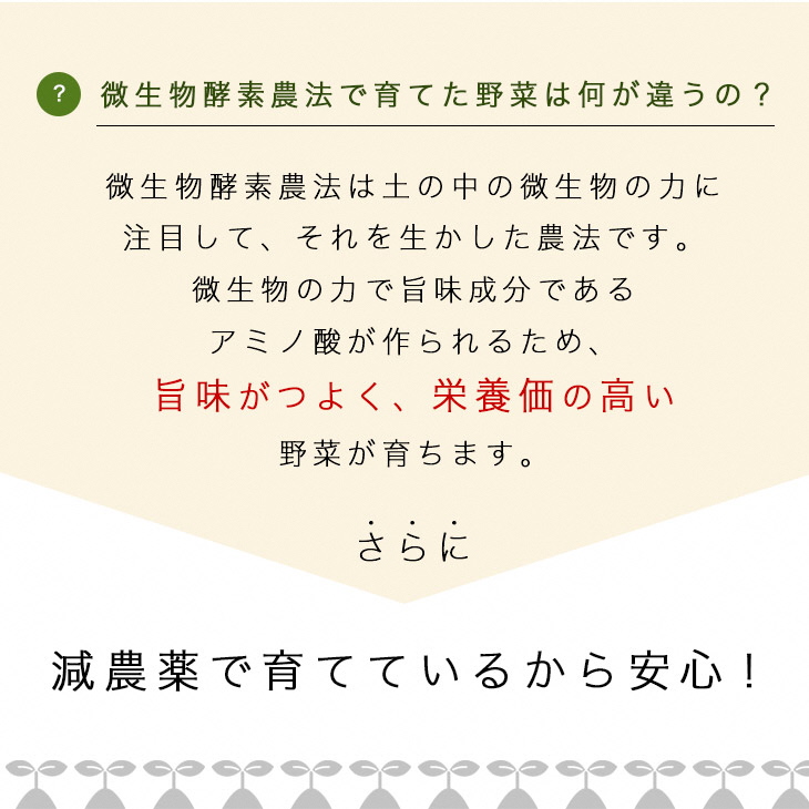 ソルモンドの 冬野菜セット！3～5品 14袋◇ ＜野菜 野菜セット 野菜詰め合わせ 旬野菜 国産 京都 減農薬 ふるさと納税野菜＞ ※北海道・沖縄・離島への配送不可
