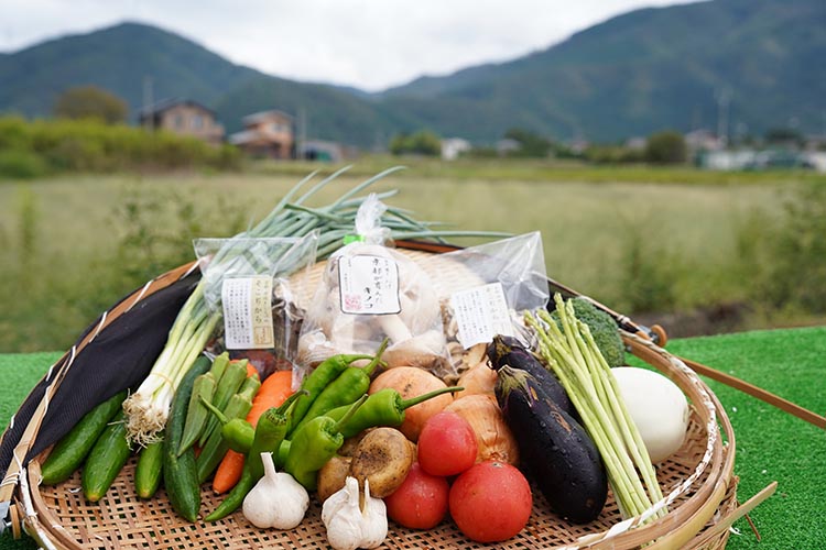 お野菜セット アビトルベジタブル+しいたけ 合計8～10品目詰め合わせセット 季節の野菜 旬の野菜 やさい 新鮮 産地直送 きのこ キノコ 産直 国産 京都 京都産 ※北海道・沖縄・離島への配送不可