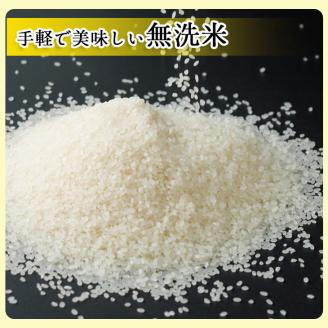 定期便 無洗米 10kg 3ヶ月 京都丹波産 キヌヒカリ 3回定期便 10kg （5kg×2袋） ×3回 計30kg ※受注精米