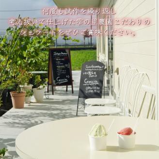 いちごよりいちごを感じるジェラート＆季節のおすすめ 6個入り