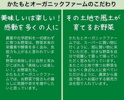 人参 8kg【期間限定】自然栽培の甘い 葉付き人参 京都府・亀岡産 かたもとオーガニックファームよりお届け 《訳あり サイズ不揃い にんじん 国産 京都産 栽培期間中農薬不使用 産地直送》 ※2025年12月から順次発送 ※離島への発送不可