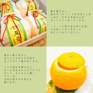 【期間限定 数量限定】＜京都栗菓匠 若菜屋＞甘夏羹（あまなつかん） ゼリー 4個入り《京都 スイーツ フルーツ 甘夏 贈答 ジュレ》◇※沖縄・離島への配送不可