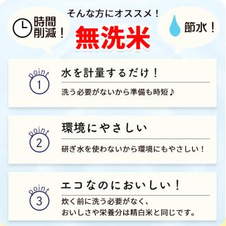 無洗米 10kg （5kg×2袋） 京都丹波産 コシヒカリ ※100セット限定 ※受注精米《米 白米 こしひかり ふるさと納税 無洗米 亀岡そだち》 ※北海道・沖縄・離島への配送不可