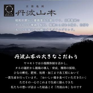  ＼期間限定特別寄附額／ 鶏肉 丹波黒どり＆丹波赤どり むね肉 4kg(各2kgずつ)≪訳あり 国産 地鶏 食べ比べ 業務用 冷凍 送料無料≫