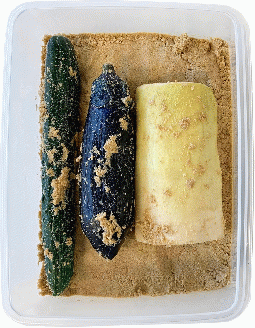 期間限定 糠床「どぼ漬」 手作り セット＜京つけもの もり＞ ｜ 京漬物 夏 ぬか床 おうち体験 ぬか漬 ※5月より順次発送