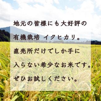 【数量限定】訳あり＜ワイワイ・ファーム＞京都府亀岡産いくひかり 5kg×2袋 計10kg≪京都 丹波 産地 農家 直送 ご飯 お弁当 令和5年産 米≫