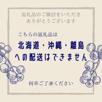 【訳あり】＜すだ農園＞栽培期間中農薬不使用 朝摘み ブルーベリー 生果実【小粒・中粒ふぞろい】660g ｜ 旬 果実 新鮮 フルーツ ※2025年8月上旬～9月初旬頃に順次発送予定 ※北海道・沖縄・離島への発送不可