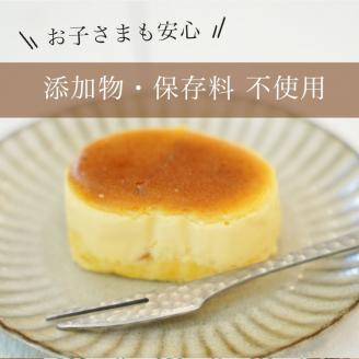 濃厚 半熟 スフレ チーズケーキ 20個 個包装 無添加＜半熟チーズ工房 京都 洋菓子館ベルジェノア＞ ≪半生 ケーキ スイーツ ギフト 洋菓子 手土産 母の日 敬老の日 祝い お取り寄せ≫