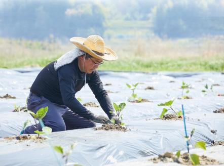 《京つけもの もり》迎春 京漬物 おせち ※2026年1月上旬以降お届け《お正月 新年 ギフト 京野菜》