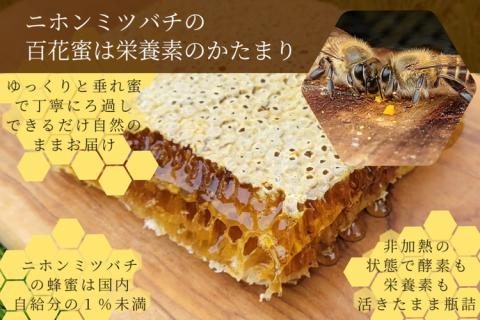 はちみつ【数量限定】京都産 生はちみつ 130g×3個セット 二ホンミツバチの生はちみつ 《国産 純粋 蜂蜜 非加熱 無添加 ハチミツ 希少 健康  免疫 朝食》: 亀岡市ANAのふるさと納税