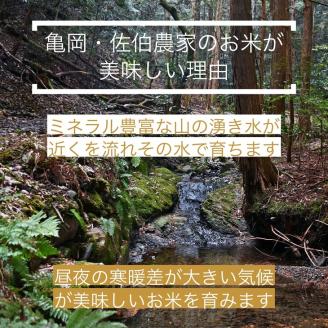 訳あり コシヒカリ 5kg ＆ 漬け物 3種 米・漬物セット 佐伯の里の源流米 農家直送 亀岡 新鮮野菜 京都丹波産 家計応援 生活応援※北海道・沖縄・離島への配送不可