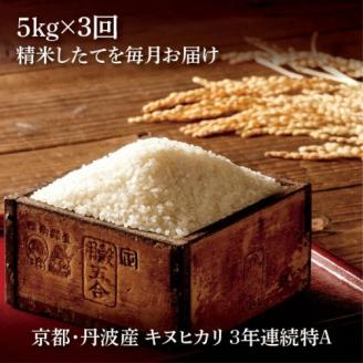 【定期便】令和5年産 米 5kg 3ヶ月 京都丹波産 キヌヒカリ 白米＜JA京都 たわわ朝霧＞ 3回定期便 5kg×3回 計15kg 毎月発送に合わせて精米 京都丹波産 特Ａ