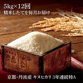 【定期便】令和5年産 米 5kg 12ヶ月 京都丹波産 キヌヒカリ 白米＜JA京都 たわわ朝霧＞ 12回定期便 5kg×12回 計60kg 毎月発送に合わせて精米