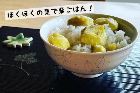 京都亀岡産 丹波くり 大粒 2L～3Lサイズ 1.2kg【期間限定 数量限定】《栗 くり 丹波栗》 ※北海道・沖縄・離島への配送不可 ※2025年9月中旬頃より順次発送予定