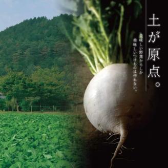 《京つけものもり》漬物 業務用 千枚漬 1kg（500g×2袋） ※2025年11月上旬～2026年2月中旬頃に順次発送予定