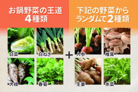 お鍋専用 有機野菜 セット《野菜 有機JAS認定 京野菜 オーガニック 栽培期間中化学肥料・農薬不使用『すずめファーム』》