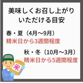 【定期便】令和6年産 新米 先行予約  京都 丹波産 きぬひかり 玄米 10kg（5kg×2袋）12回 計120kg｜5つ星お米マイスター 厳選 受注精米可 隔月発送も可 ※離島への配送不可※2024年9月下旬以降順次発送予定