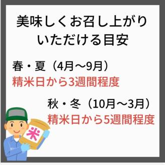 令和6年産 新米 先行予約  京都 丹波産 きぬひかり・こしひかりセット 玄米 10kg｜5つ星お米マイスター 厳選 受注精米可 ※離島への配送不可※2024年9月下旬以降順次発送予定