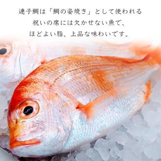 若狭湾 天然 鯖の西京漬け 鯛の一夜干し セット＜京風料理 新橋謹製＞≪京都 若狭 天然 国産 味噌 正月 新年≫ ※北海道・沖縄・離島への配送不可