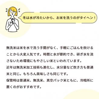 定期便 無洗米 5kg 12ヶ月 京都丹波産 キヌヒカリ 12回定期便 5kg ×12回 計60kg ※受注精米