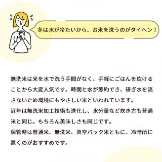 定期便 無洗米 10kg 12ヶ月 真空パック 京都丹波産 キヌヒカリ 12回定期便 10kg （2kg×5袋） 12回 計120kg ※受注精米