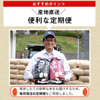【12月末まで】【定期便】令和7年産 新米 京都丹波米 きぬひかり5kg×12回 計60kg○5kg 12ヶ月 白米 12回定期便 ※精米したてをお届け 米・食味鑑定士厳選 キヌヒカリ 京都丹波産 ※北海道・沖縄・離島への配送不可