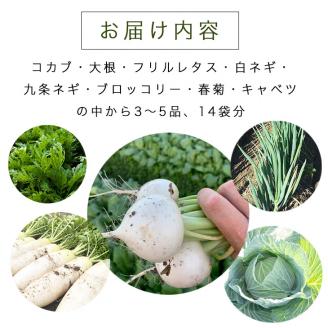 ソルモンドの 冬野菜セット！3～5品 14袋◇ ＜野菜 野菜セット 野菜詰め合わせ 旬野菜 国産 京都 減農薬 ふるさと納税野菜＞ ※北海道・沖縄・離島への配送不可