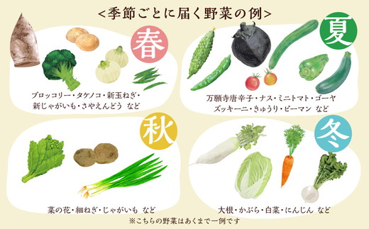 京都丹波・亀岡発 旬の野菜・こしひかり 詰め合わせセット● ※北海道・沖縄・離島への配送不可