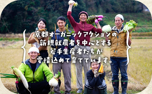 【6回定期便】＜アスカ有機農園＞旬の京野菜セットL（平飼い卵付）＊毎月お届け全6回