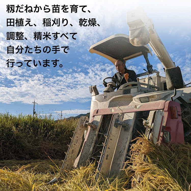 【令和7年産先行予約】米 キヌヒカリ 玄米 10kg〈アグリにのうみ〉京都・亀岡産《令和7年産》◇ ※北海道・沖縄・離島への配送不可 ※2025年10月中旬頃から順次発送予定