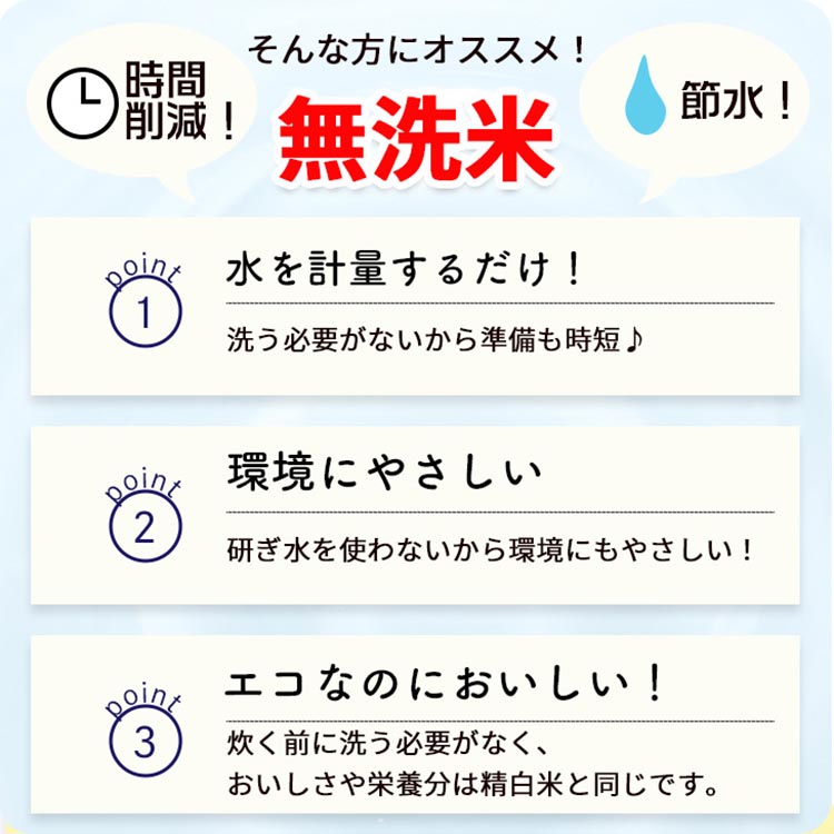 無洗米 2kg 真空パック 京都丹波産 コシヒカリ ※受注精米 2kg｜米 白米 2キロ 小分け 備蓄米 非常食 こしひかり 亀岡そだち ふるさと納税米 ※北海道・沖縄・離島への配送不可
