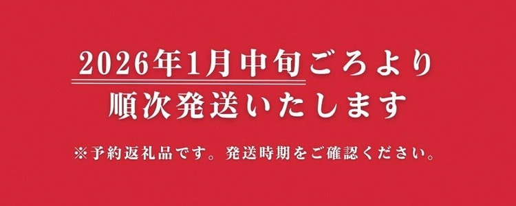 来シーズン予約受付 高級 京いちご 完熟 朝採れ 約2,000g（250g 8パック）小島農園 紅ほっぺ おいCベリー スターナイトから厳選 ※離島への配送不可 ※2026年1月中旬～5月下旬頃に順次発送予定