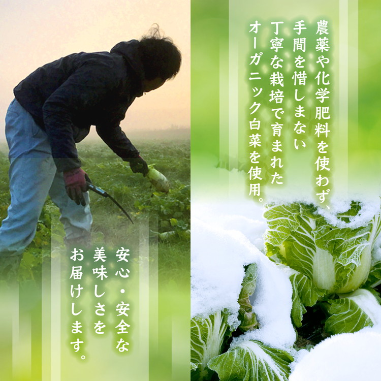 【冷凍】オーガニック白菜キムチ 1.2kg(200g×6) 小分け 有機栽培 キムチ 惣菜 おかず 漬物 京都産 亀岡産 国産 キムチ鍋 豚キムチ 長期保存 熟成