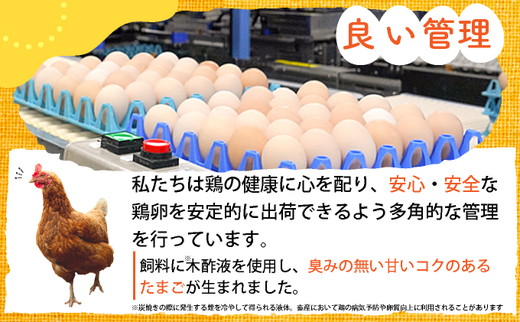 新鮮 卵 京都・丹波 霧の卵 30個（25個+卵割れ保証5個）生卵 たまご 鶏卵 小分け 贈答 ギフト◇ ※北海道・沖縄・離島への配送不可
