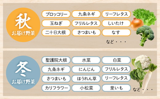 野菜 定期便 直送 12回 朝採れ 7～10品目 京都丹波 亀岡 佐伯の里 訳あり生活応援 家計応援 ※北海道・沖縄・離島への配送不可