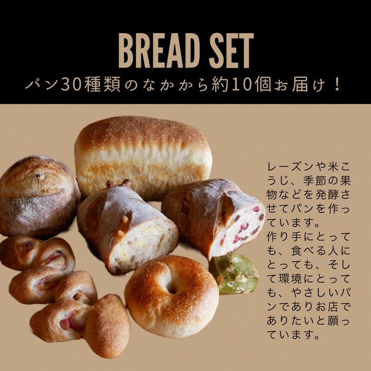 ロスパン詰め合わせセット（約10個）≪ロスパン 冷凍パン ベーグル 詰め合わせ 天然酵母 薪窯焼き フードロス 国産小麦≫ ※2025年9月上旬～2026年7月下旬頃に順次発送