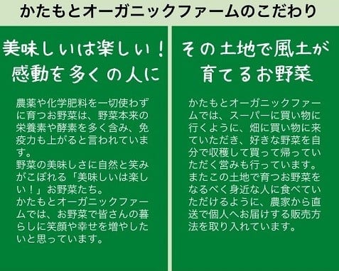 人参 4kg【期間限定】自然栽培の甘い 葉付き人参 京都府・亀岡産 かたもとオーガニックファームよりお届け 《訳あり サイズ不揃い にんじん 国産 京都産 栽培期間中農薬不使用 産地直送》 ※2025年12月から順次発送 ※離島への発送不可