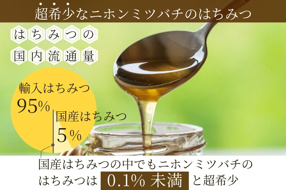 はちみつ【数量限定】京都産 生はちみつ 130g×3個セット 二ホンミツバチの生はちみつ 《国産 純粋 蜂蜜 非加熱 無添加 ハチミツ 希少 健康 免疫 朝食》