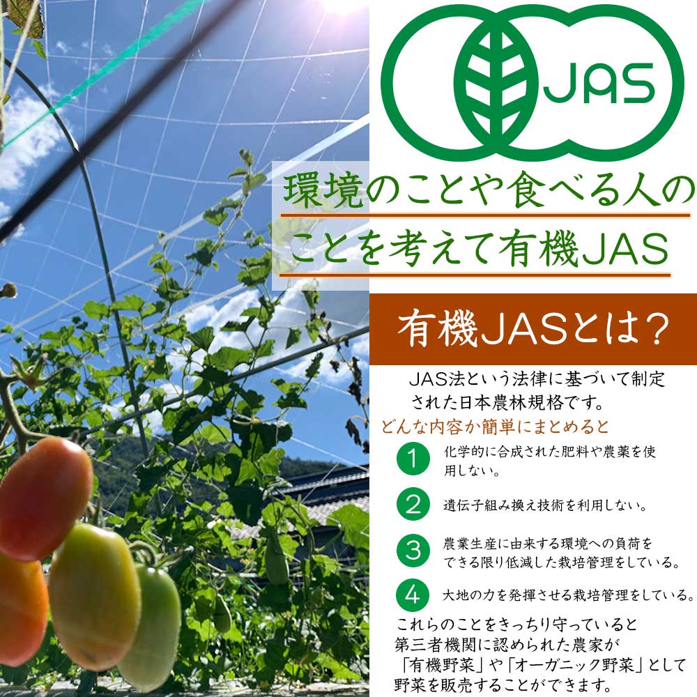 【6回定期便】＜京都・矢田の里＞産地直送！有機JAS認定 京野菜・農家のこだわり野菜・新鮮卵など お楽しみセット 隔月6回お届け≪オーガニック 栽培期間中農薬・化学肥料不使用≫