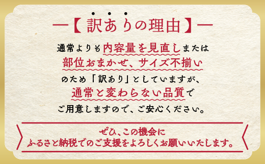 訳あり 京都産黒毛和牛(A4,A5) サーロインステーキ 200g×2枚【計400g】 京の肉 ひら山 厳選｜生活応援 和牛 牛肉 亀岡牛 京都肉 国産 京都 丹波産 ふるさと納税 ステーキ ふるさと納税牛肉