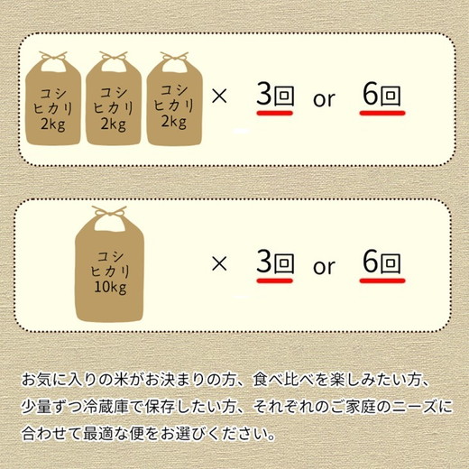【定期便】令和7年産 新米 京都丹波米 きぬひかり5kg×8回 計40kg◇◆◇ 8回定期便 米 白米 5kg 8ヶ月※精米したてをお届け 米・食味鑑定士厳選 キヌヒカリ 京都丹波産 ※北海道・沖縄・離島への配送不可