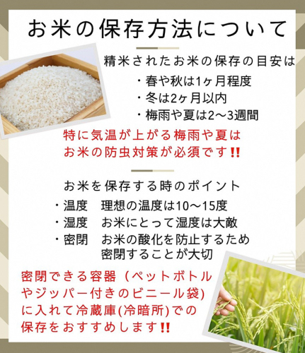 【12月末まで】令和7年産 新米 京都丹波米 きぬひかり5kg 白米 米◇◆◇ 食味鑑定士厳選 京都丹波産 ふるさと納税米 ※精米したてをお届け ※北海道・沖縄・離島への配送不可 ※2025年9月中旬以降順次発送