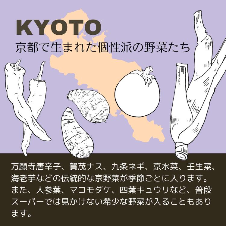 【4回定期便】＜３６９商店＞京都丹波産旬の野菜セット　※全て栽培期間中農薬・化学肥料不使用 ※北海道・沖縄・離島への配送不可