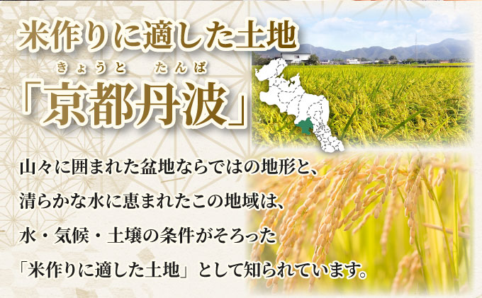 【定期6回】令和7年産コシヒカリ 10kg×6回 京都丹波産 農家直送 産地直送 スピード配送【～3月31日まで】※北海道･沖縄･離島への配送不可