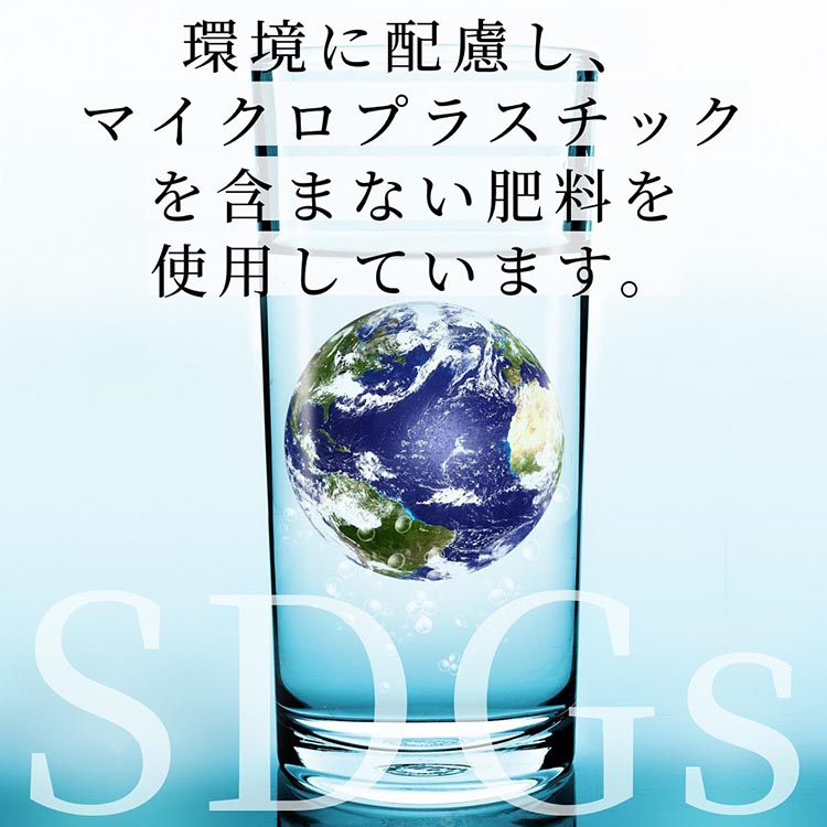 米 2品種 コシヒカリ・ヒノヒカリ 食べ比べ 5kg × 2袋 10kg 施肥技術指導員監修《令和5年産》SDGs未来都市亀岡※着日指定不可
