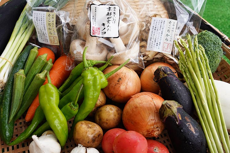 お野菜セット アビトルベジタブル+しいたけ 合計8～10品目詰め合わせセット 季節の野菜 旬の野菜 やさい 新鮮 産地直送 きのこ キノコ 産直 国産 京都 京都産 ※北海道・沖縄・離島への配送不可