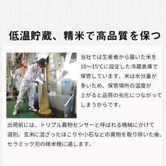 【令和6年産 新米 先行予約】京都丹波米 こしひかり2kg×3袋 計6kg◇ 米 白米 ※精米したてをお届け 小分け 小袋 チャック付 米・食味鑑定士 厳選 コシヒカリ 京都丹波産 ※北海道・沖縄・離島への配送不可 ※2024年9月上旬以降順次発送予定